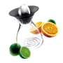 Fruchtpresse mit Glaskanne