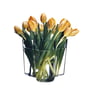 Aalto Vase Savoy