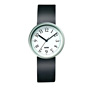 Replacement band for Record Watch
