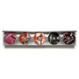 SIGMARAIL® Aluminium CD Regalsystem (SR5) 