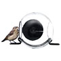 Born in Sweden Bird Feeder