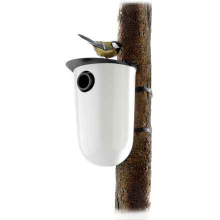 Bird Box
