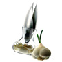 Knoblauchpresse
