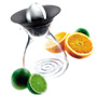 Fruchtpresse mit Glaskanne