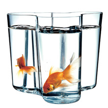 Aalto Vase Savoy from connox.de