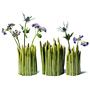 Grass Vase
