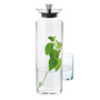 Stelton Simply Karaffe mit Glas