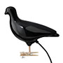 Thorsten van Elten - Pigeon Light, schwarz