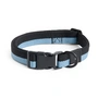 HAY - Dogs Hundehalsband, M/L, blau / schwarz