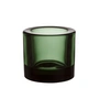 Iittala - Kivi Teelichthalter, pine green