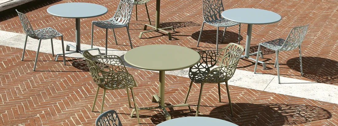 Fast - Forest Kollektion