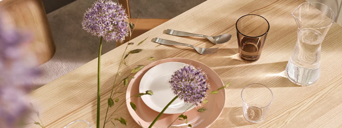 Iittala - Herstellerkollektion Teema Banner