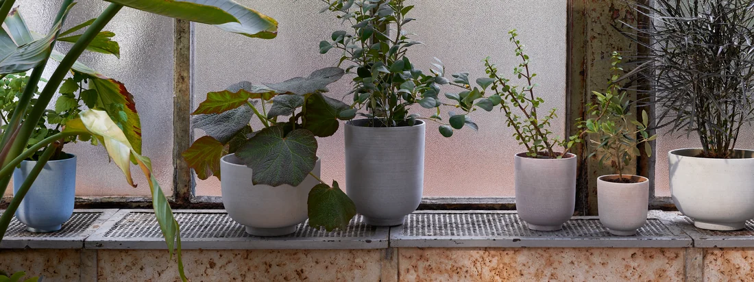 &Tradition - Collect