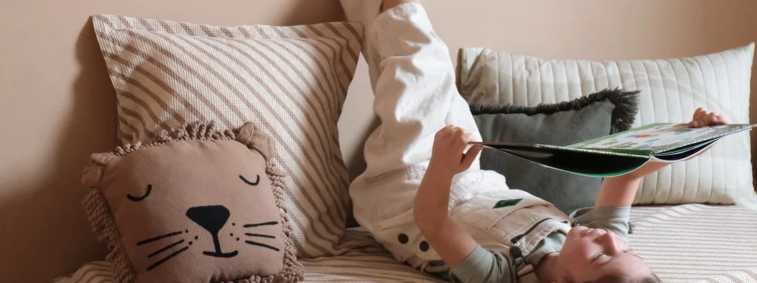  Nobodinoz - Landscape Serienbanner