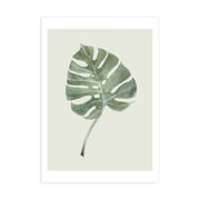 Novoform - Poster Blatt