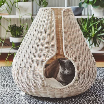 Perla Katzenhöhle von MiaCara