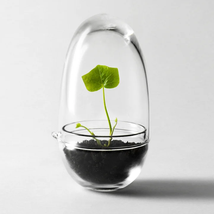 Grow Gewächshaus von Design House Stockholm