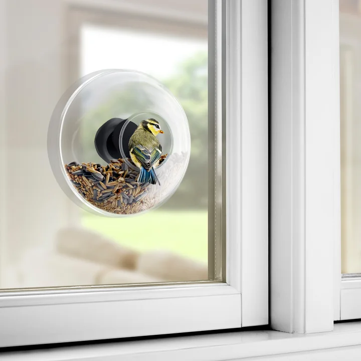 Natur direkt vor dem Fenster