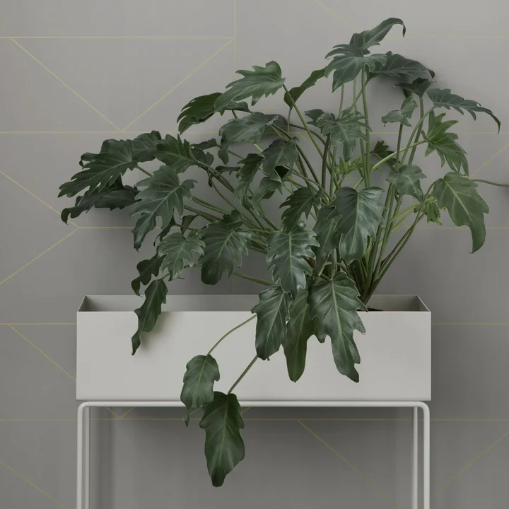 Plant Box von Ferm Living in Weiß