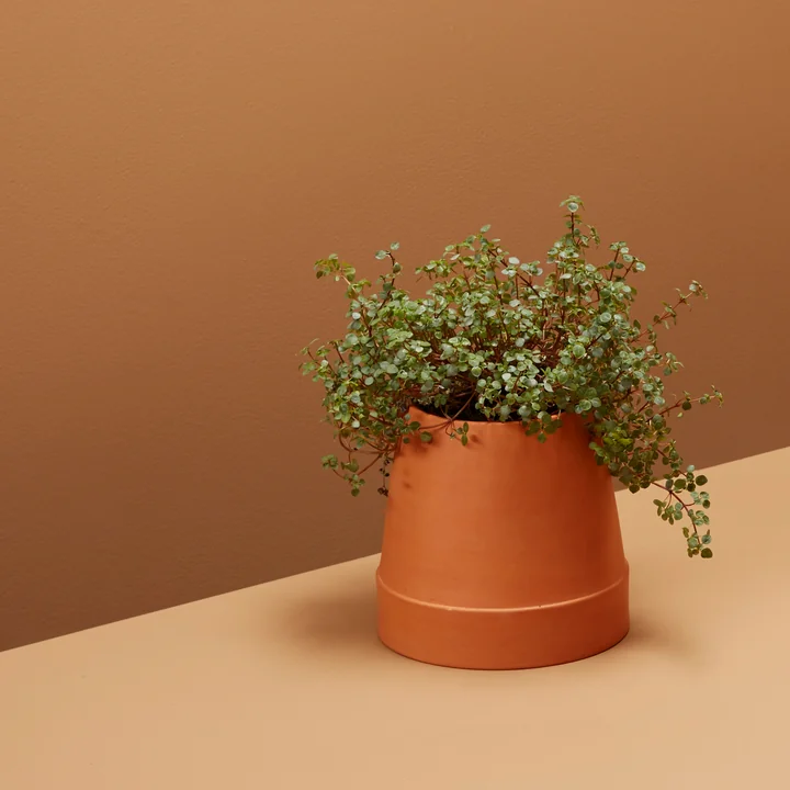 Der umgedrehte Blumentopf von Boskke