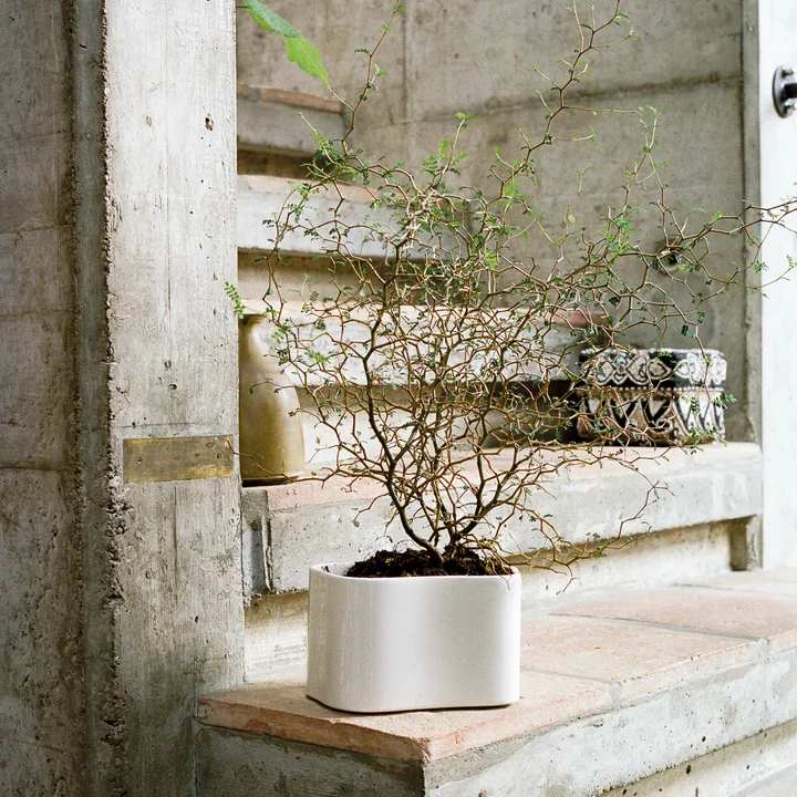 Riihitie Übertopf von Artek