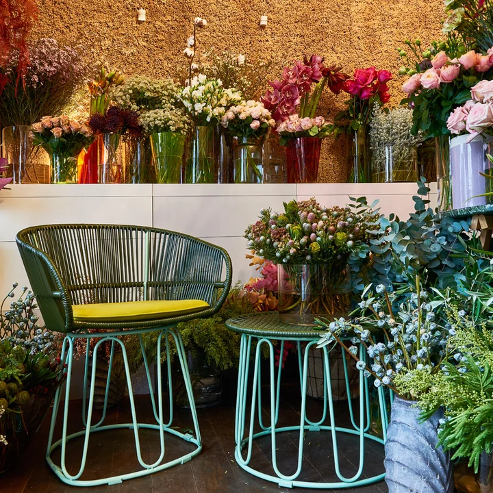 Boho Greenliving imm Cologne