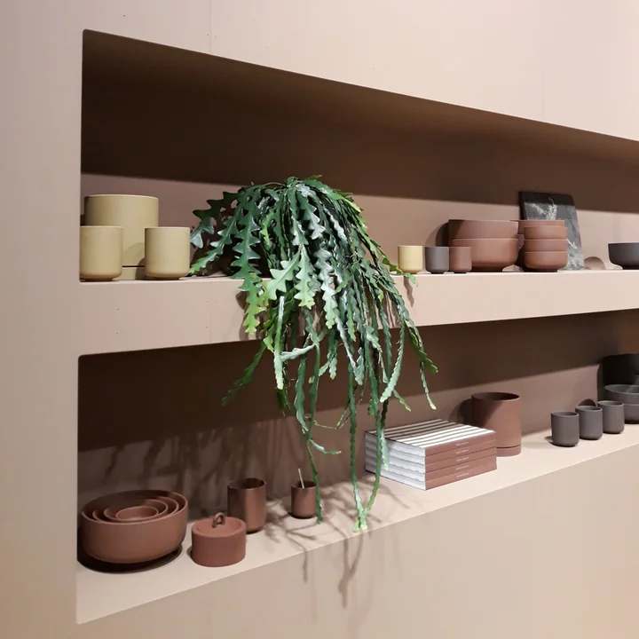 Boho Greenliving imm Cologne