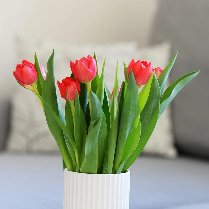 Rahel Dünker - Homestory 14