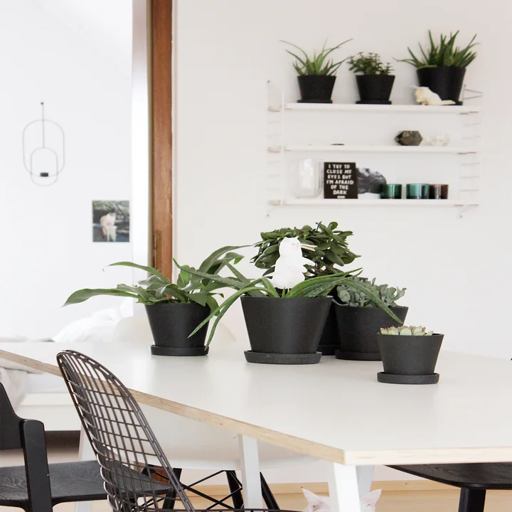 Mitarbeiter Homestory Birte Tonnies - Esszimmer