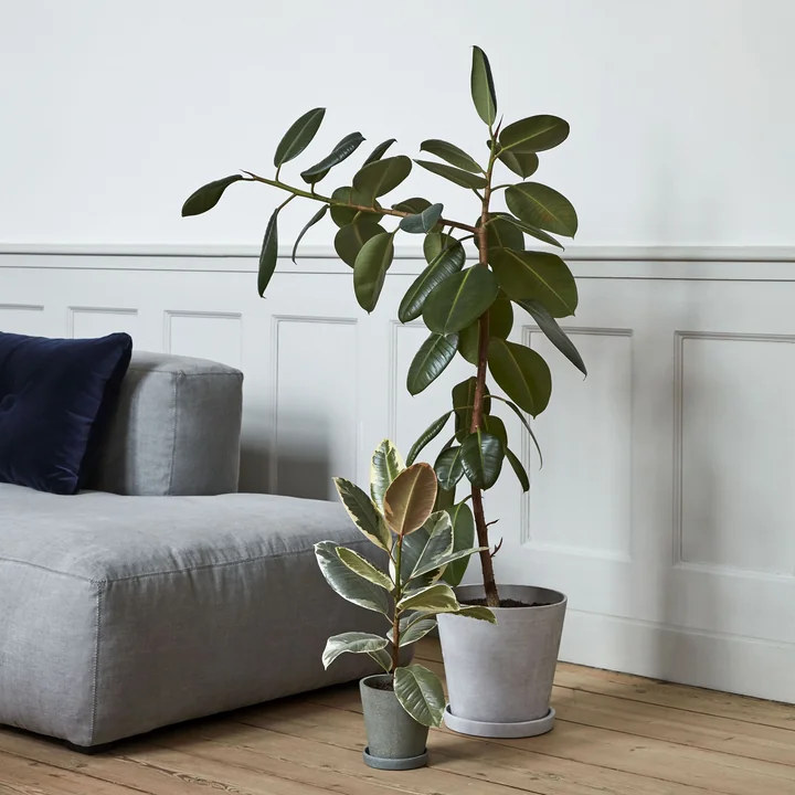 Mags Soft Sofa und Blumentopf mit Untersetzer von HAY