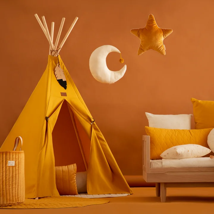  Aristote Star Samt-Kissen von Nobodinoz