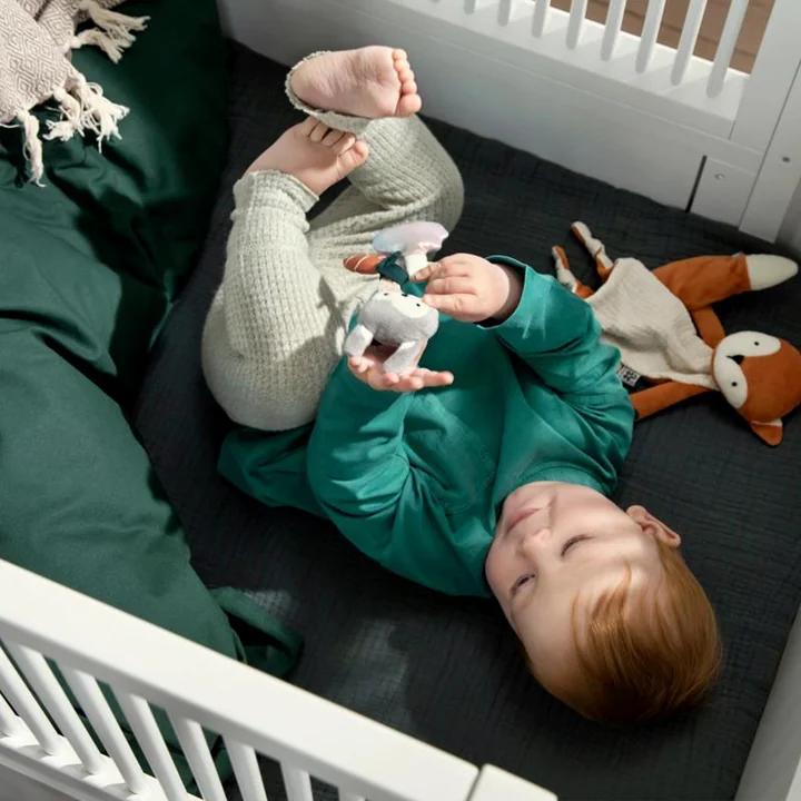 Aktivitäts-Rassel von Sebra