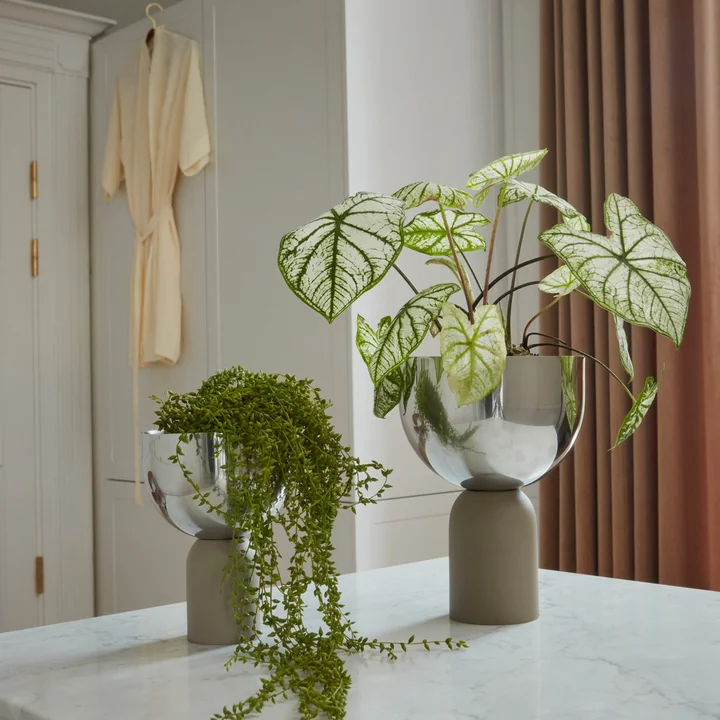 Torus Blumentopf von AYTM