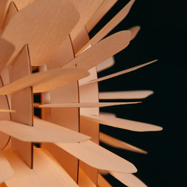 Zappy Pendelleuchte von Schneid