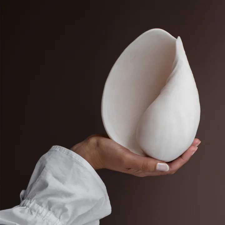 Conch Muscheln von Mette Ditmer