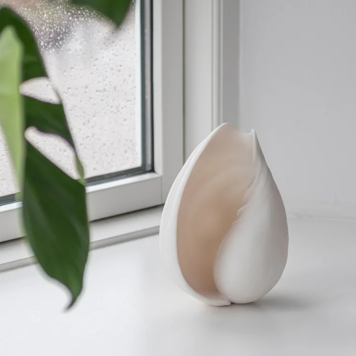 Conch Muscheln von Mette Ditmer