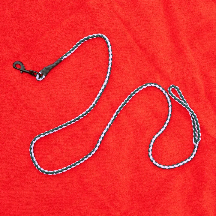 HAY - Dogs Hundeleine, geflochten, lavendel / grün