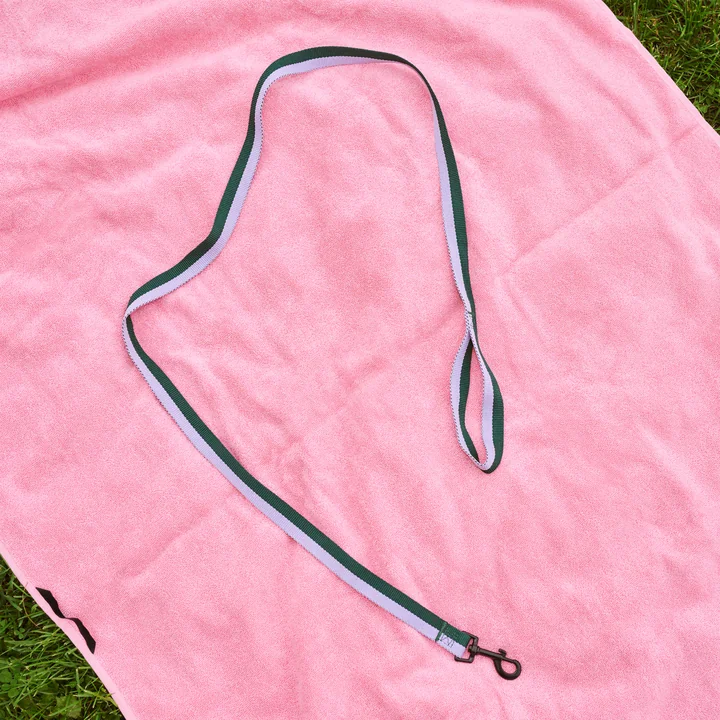 HAY - Dogs Hundeleine, M/L lavendel / grün