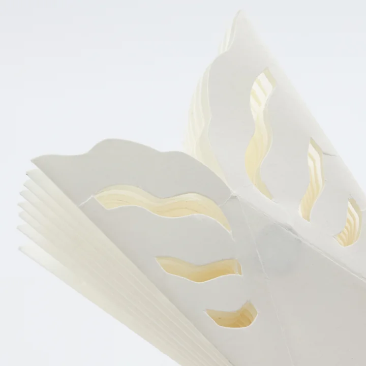 Snowflake von House Doctor