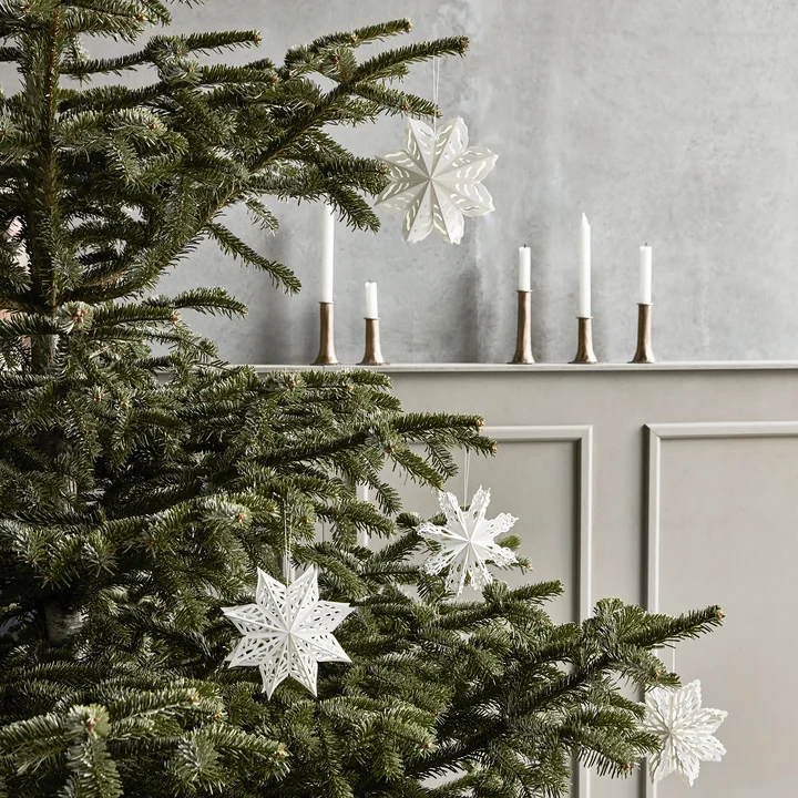 Snowflake von House Doctor