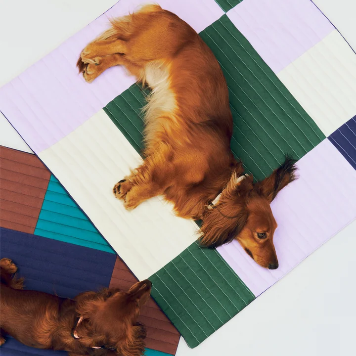 HAY - Dogs Reisedecke, 80 x 80 cm, lavendel / grün / blau