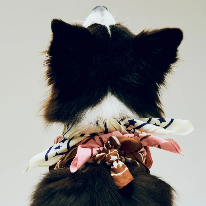 HAY - Dogs Hundetuch, recycelt, 55 x 55 cm