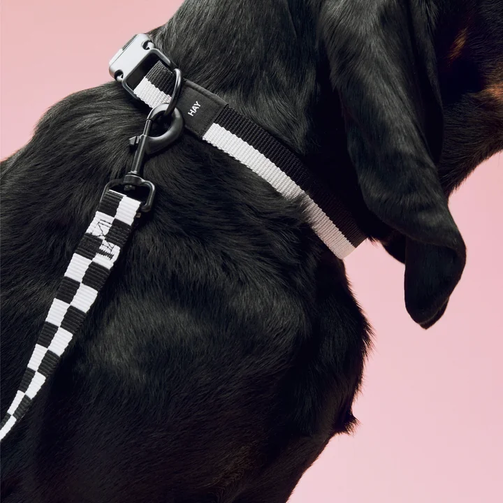 HAY - Dogs Hundehalsband, M/L, Hundeleine M /L Check, schwarz / weiß