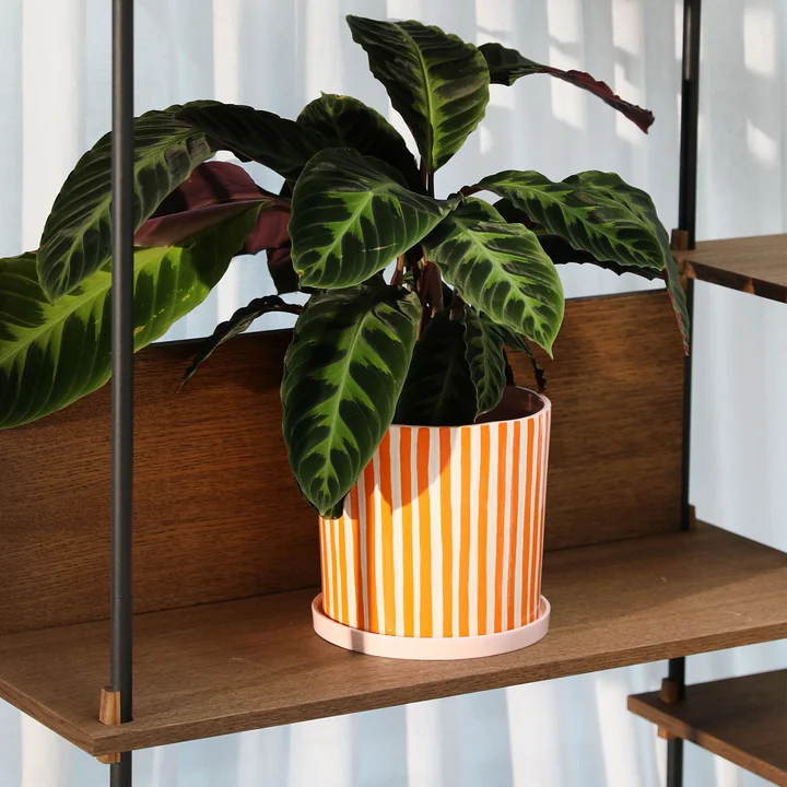 &klevering - Ray Blumentopf mit Untersetzer, Ø 21,5 x 21 cm, orange / rosa / weiß