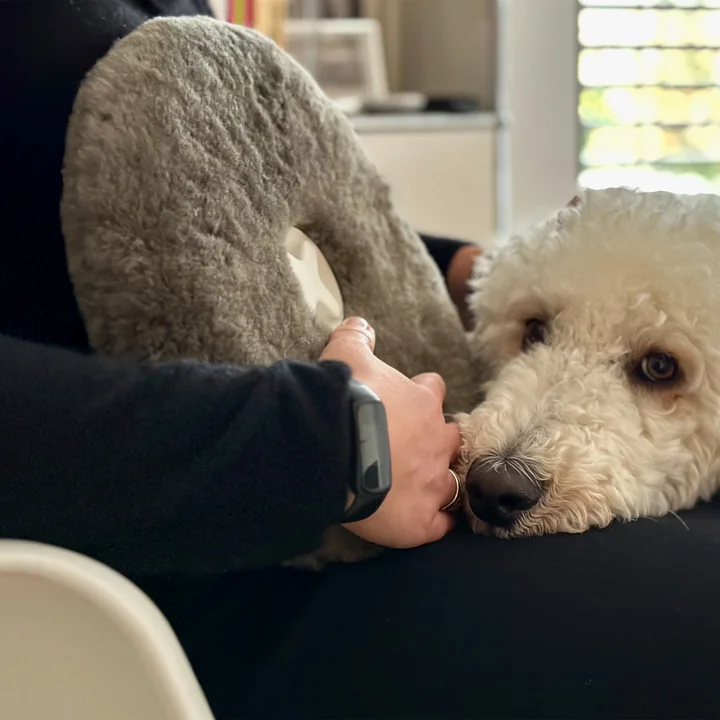 Authentics - Pill Wärmeflasche, Schaffell, anthrazit