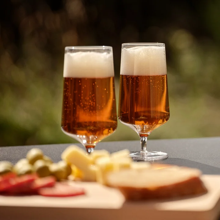 Zone Denmark - Rocks Bierglas, 30 cl (2er-Set)