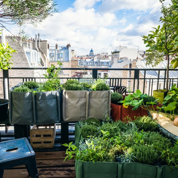 Bacsquare Pflanztasche von Bacsac