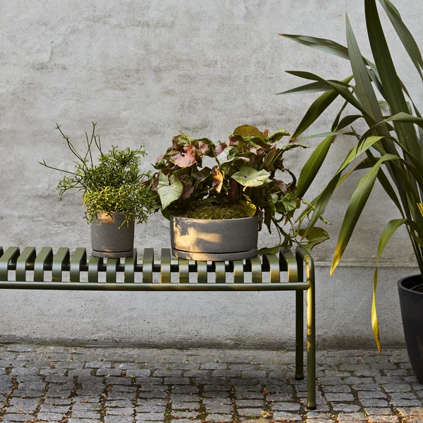 HAY - Palissade Bank