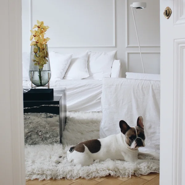 Menu - Échasse Vase, smoke