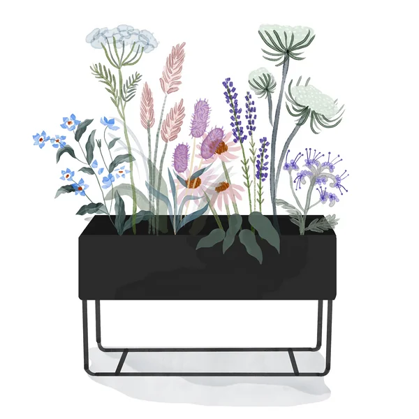 ferm Living _ Plant Box - large - schwarz - Aquarell